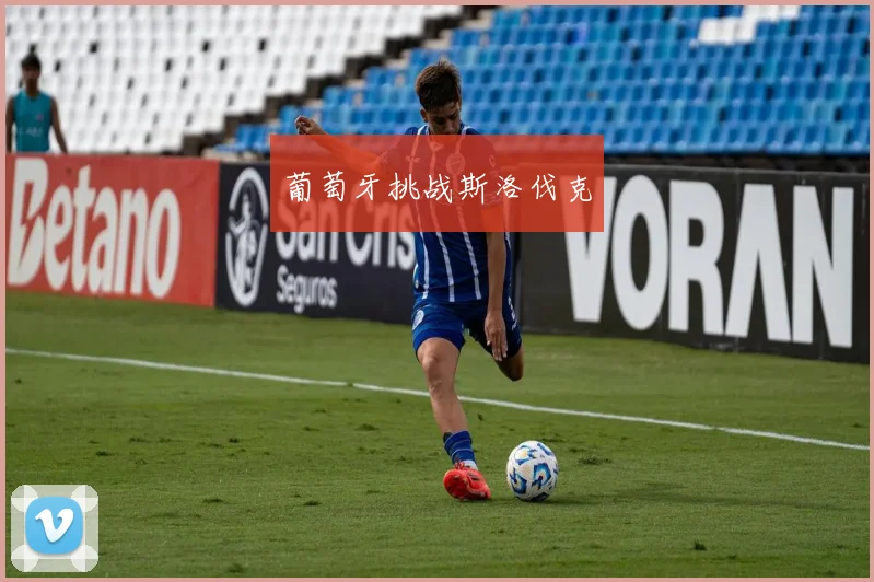 葡萄牙挑战斯洛伐克