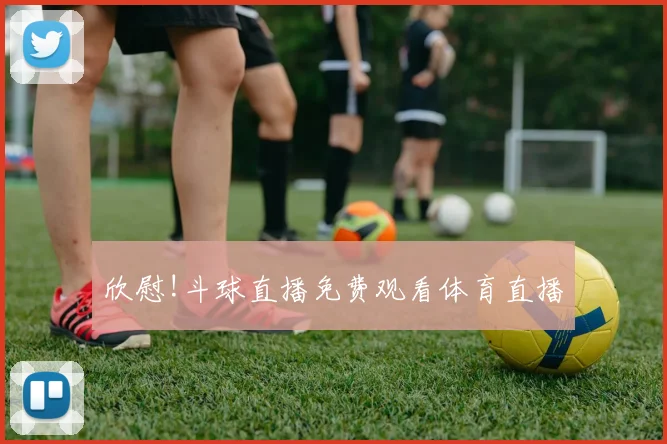 欣慰!斗球直播免费观看体育直播