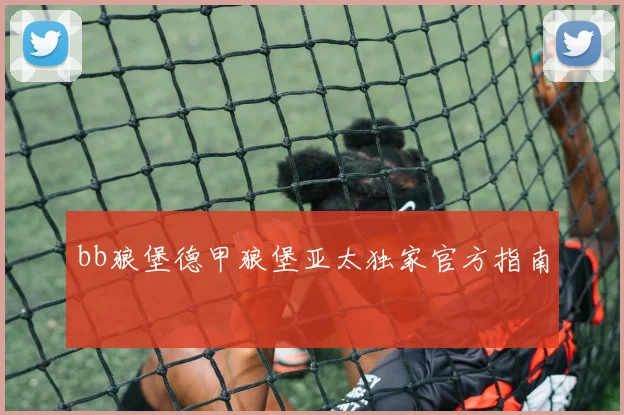 bb狼堡德甲狼堡亚太独家官方指南