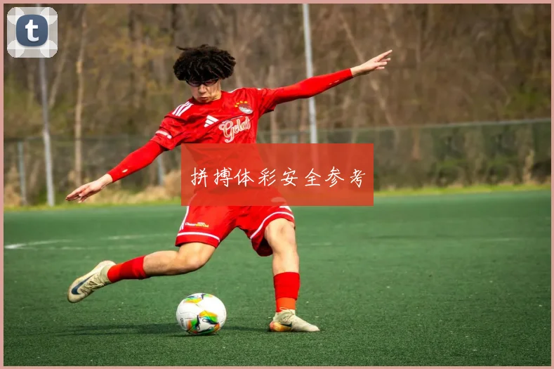 拼搏体彩安全参考