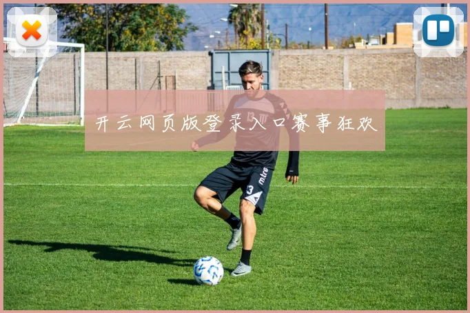开云网页版登录入口赛事狂欢