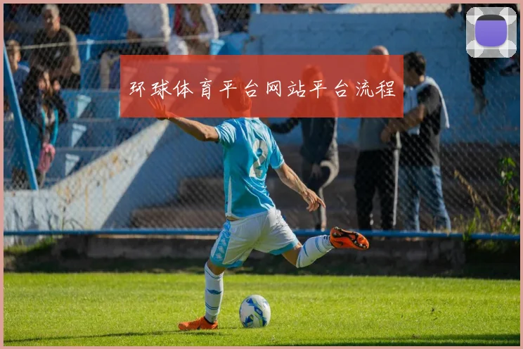 环球体育平台网站平台流程