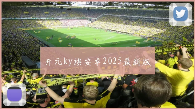 开元ky棋安卓2025最新版
