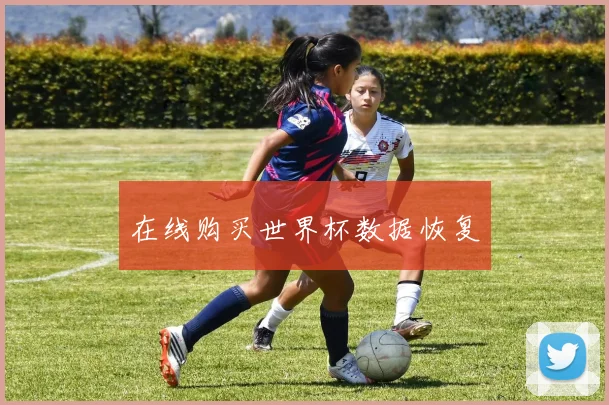 在线购买世界杯数据恢复