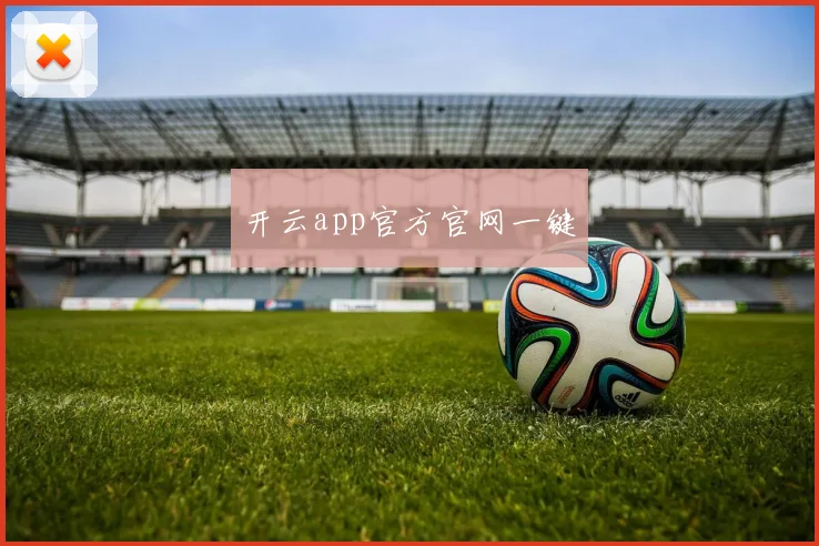 开云app官方官网一键