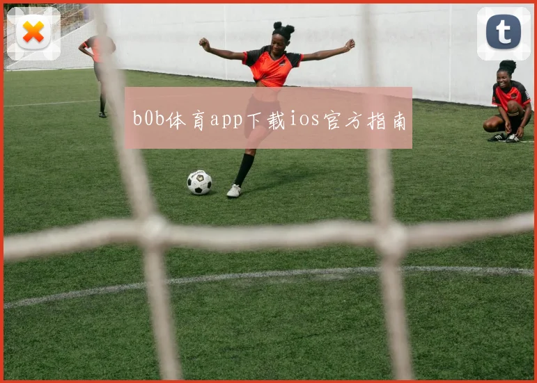 b0b体育app下载ios官方指南