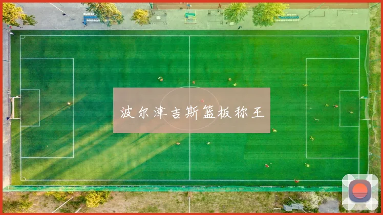 波尔津吉斯篮板称王