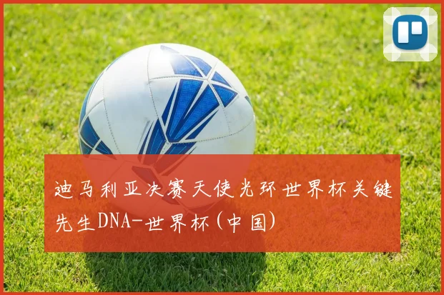 迪马利亚决赛天使光环世界杯关键先生DNA-世界杯(中国)