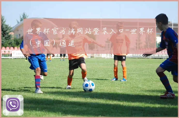 世界杯官方端网站登录入口-世界杯（中国）通道