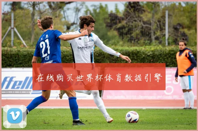 在线购买世界杯体育数据引擎