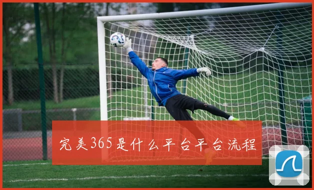 完美365是什么平台平台流程