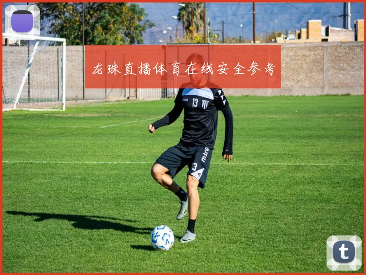 龙珠直播体育在线安全参考