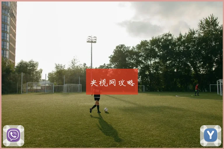 央视网攻略