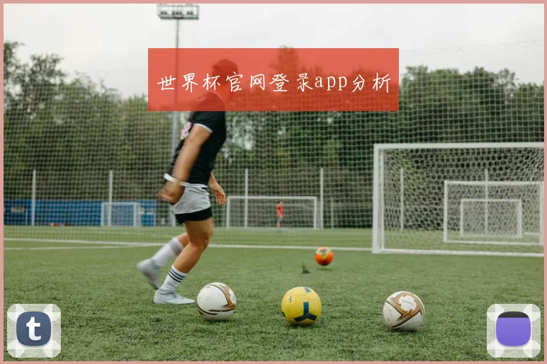 世界杯官网登录app分析
