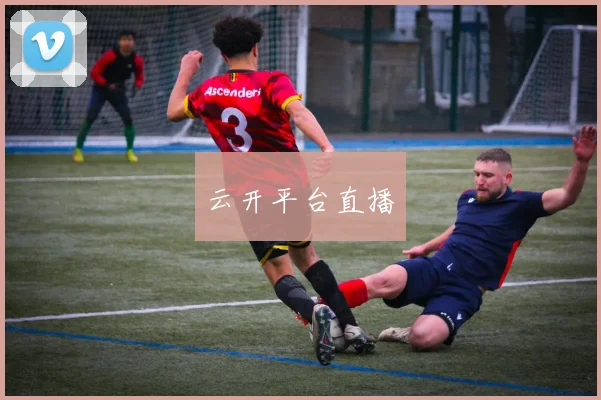 云开平台直播