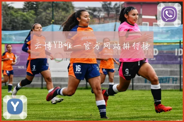 云博YB唯一官方网站排行榜
