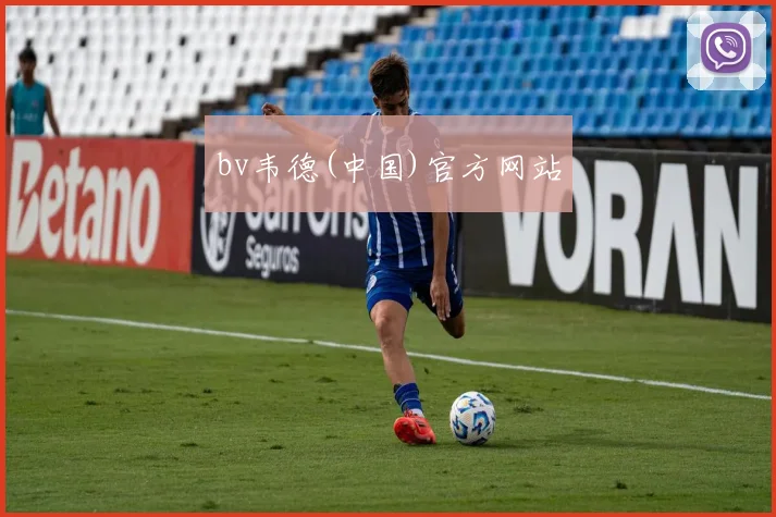 bv韦德(中国)官方网站