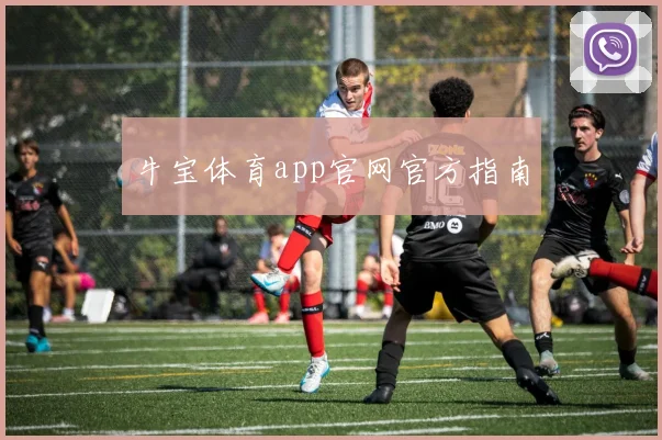 牛宝体育app官网官方指南