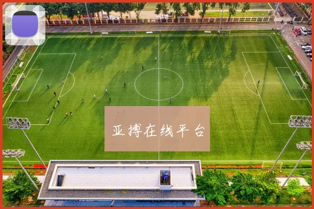 亚搏在线平台
