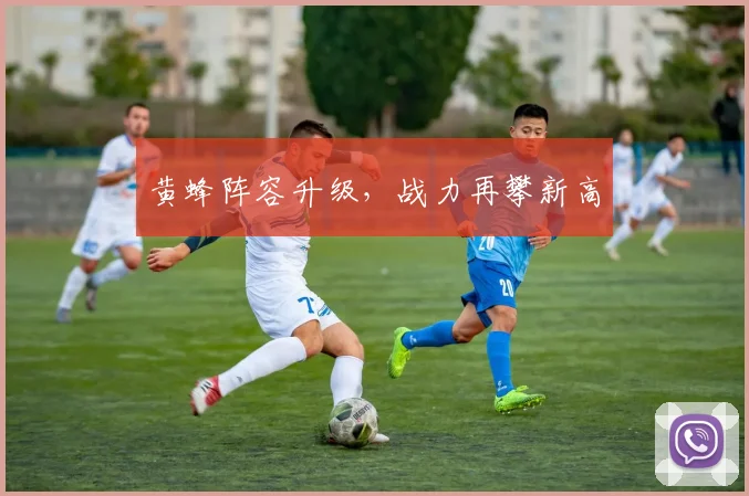黄蜂阵容升级，战力再攀新高