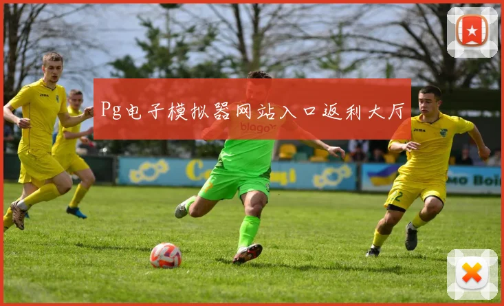 Pg电子模拟器网站入口返利大厅