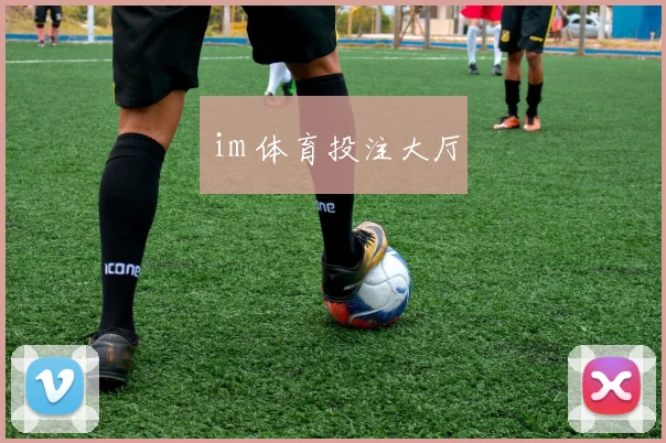 im 体育投注大厅