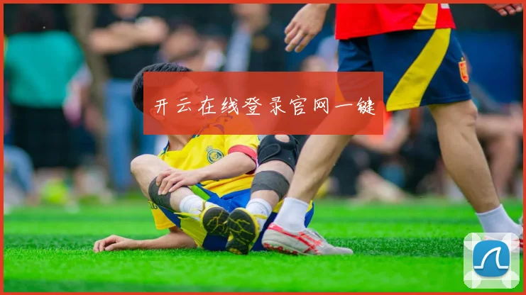 开云在线登录官网一键