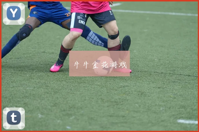 牛牛金花游戏