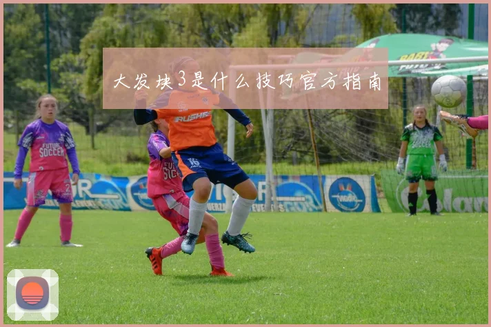 大发块3是什么技巧官方指南