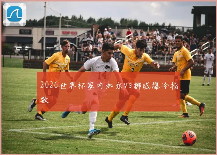 2026世界杯塞内加尔vs挪威爆冷指数