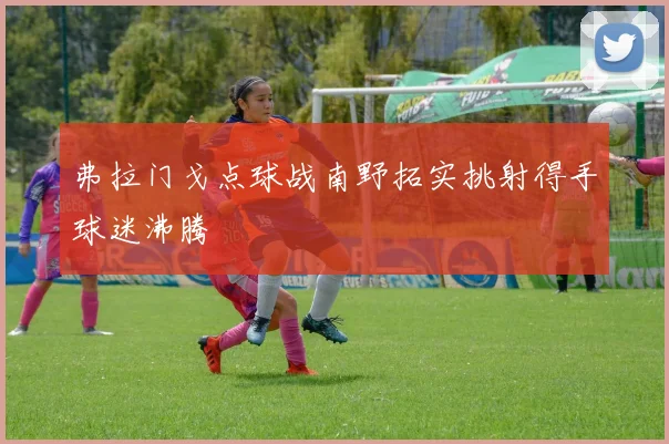 弗拉门戈点球战南野拓实挑射得手球迷沸腾