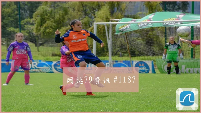 捷克vs南非2026世界杯赛前热度