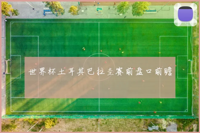 世界杯土耳其巴拉圭赛前盘口前瞻