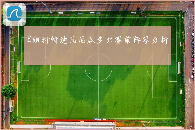 E组科特迪瓦厄瓜多尔赛前阵容分析