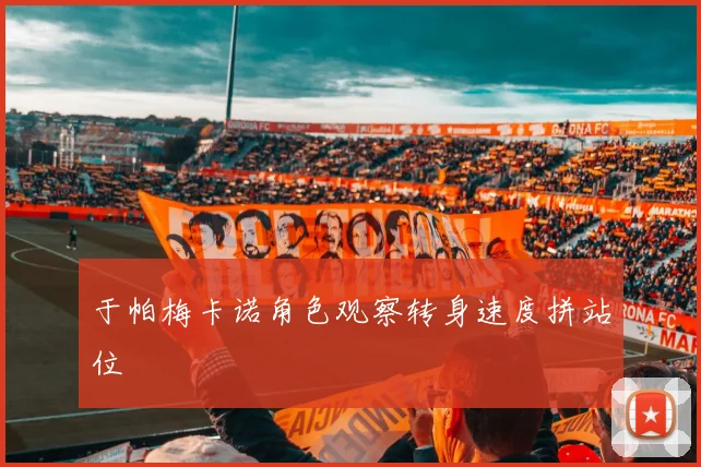 于帕梅卡诺角色观察转身速度拼站位